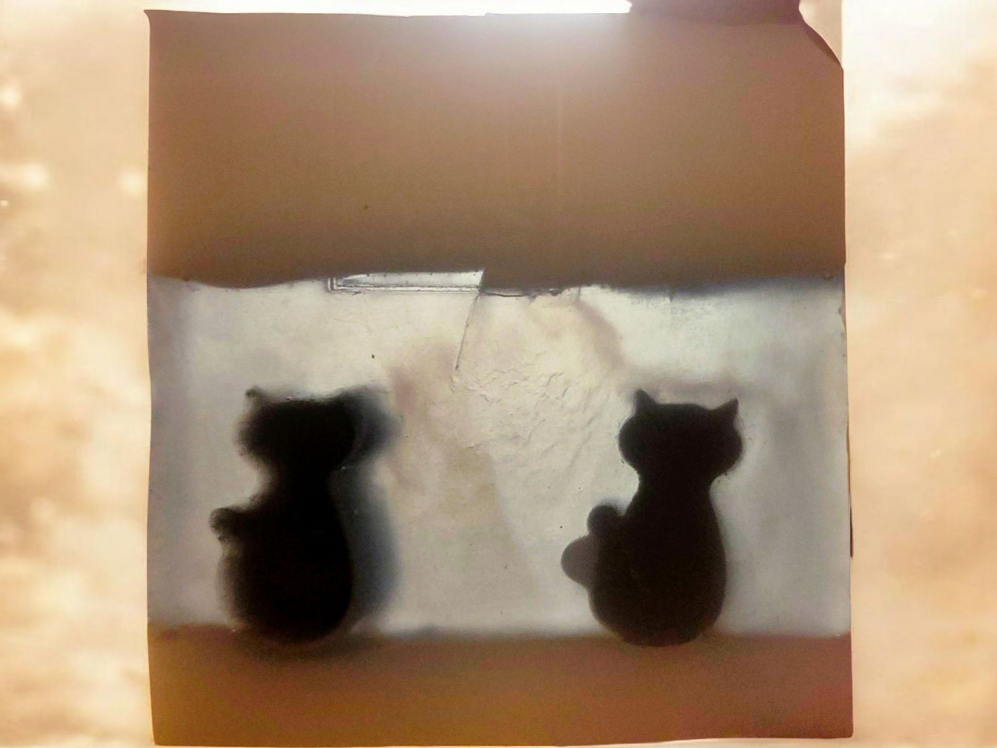 Winter Night sky lichaam & gezicht