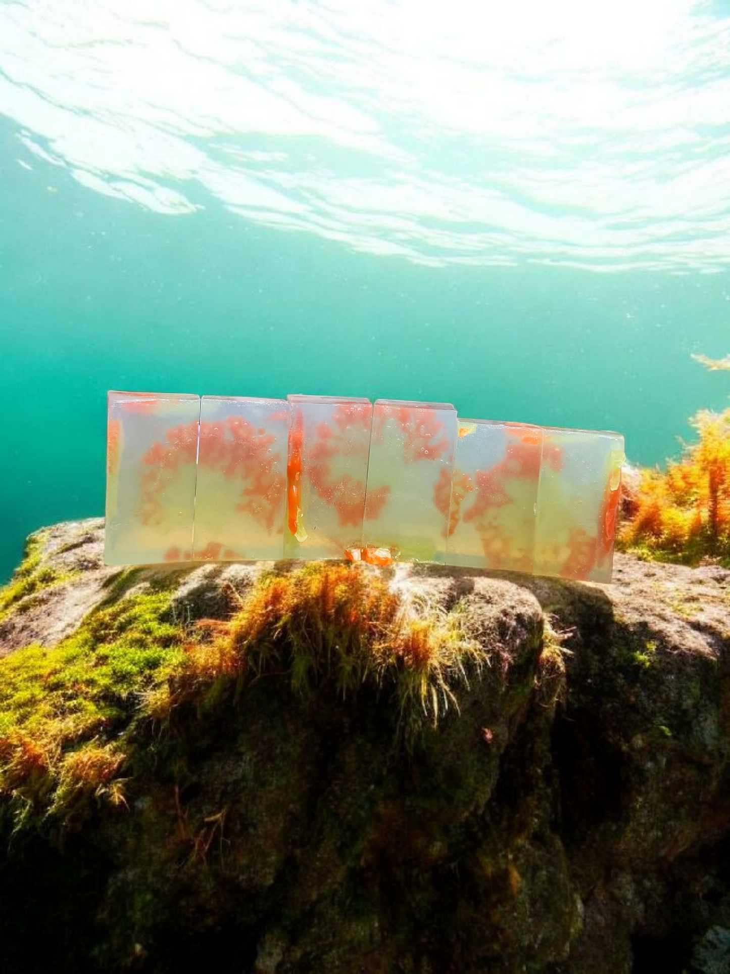 Irish Sea Moss lichaam & gezicht